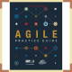 Agile Practice Guide