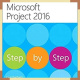 Microsoft Project 2016 Step By Step Include Practice File